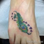 фото тату перо павлина от 26.06.2018 №226 - tattoo peacock feather - tatufoto.com
