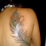 фото тату перо павлина от 26.06.2018 №228 - tattoo peacock feather - tatufoto.com