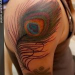 фото тату перо павлина от 26.06.2018 №233 - tattoo peacock feather - tatufoto.com