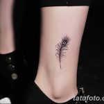 фото тату перо павлина от 26.06.2018 №235 - tattoo peacock feather - tatufoto.com