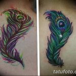 фото тату перо павлина от 26.06.2018 №245 - tattoo peacock feather - tatufoto.com