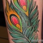 фото тату перо павлина от 26.06.2018 №250 - tattoo peacock feather - tatufoto.com