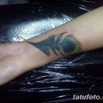 фото тату перо павлина от 26.06.2018 №252 - tattoo peacock feather - tatufoto.com