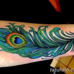 фото тату перо павлина от 26.06.2018 №258 - tattoo peacock feather - tatufoto.com