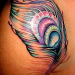 фото тату перо павлина от 26.06.2018 №260 - tattoo peacock feather - tatufoto.com
