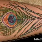 фото тату перо павлина от 26.06.2018 №263 - tattoo peacock feather - tatufoto.com