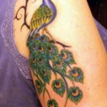 фото тату перо павлина от 26.06.2018 №264 - tattoo peacock feather - tatufoto.com