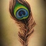 фото тату перо павлина от 26.06.2018 №265 - tattoo peacock feather - tatufoto.com