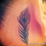фото тату перо павлина от 26.06.2018 №266 - tattoo peacock feather - tatufoto.com