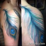 фото тату перо павлина от 26.06.2018 №267 - tattoo peacock feather - tatufoto.com