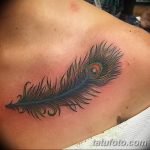фото тату перо павлина от 26.06.2018 №269 - tattoo peacock feather - tatufoto.com