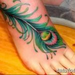 фото тату перо павлина от 26.06.2018 №277 - tattoo peacock feather - tatufoto.com