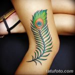 фото тату перо павлина от 26.06.2018 №289 - tattoo peacock feather - tatufoto.com
