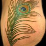 фото тату перо павлина от 26.06.2018 №300 - tattoo peacock feather - tatufoto.com