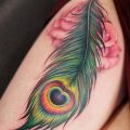 фото тату перо павлина от 26.06.2018 №302 - tattoo peacock feather - tatufoto.com