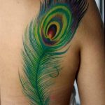 фото тату перо павлина от 26.06.2018 №303 - tattoo peacock feather - tatufoto.com