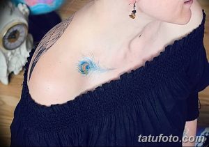 Фото тату: изящное изображение пера павлина на женской ключице, выполненное в ярких сине-зеленых тонах с акцентом на детализацию.