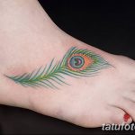 фото тату перо павлина от 26.06.2018 №309 - tattoo peacock feather - tatufoto.com