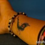 фото тату перо павлина от 26.06.2018 №310 - tattoo peacock feather - tatufoto.com