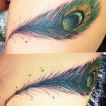 фото тату перо павлина от 26.06.2018 №316 - tattoo peacock feather - tatufoto.com