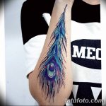 фото тату перо павлина от 26.06.2018 №321 - tattoo peacock feather - tatufoto.com