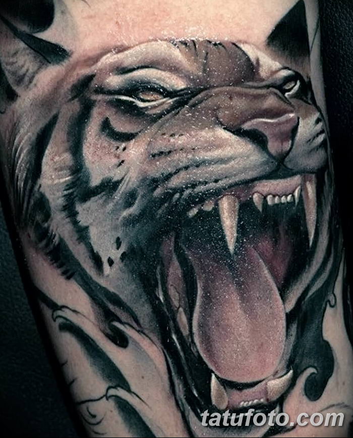 фото татуировка оскал тигра от 01.06.2018 №014 - tiger tattoo - tatufoto.com 23423