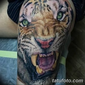 Фото реалистичной татуировки рычащей головы тигра на руке. Детализированный рисунок с яркими цветами и выразительным взглядом.
