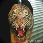 фото татуировка оскал тигра от 01.06.2018 №032 - tiger tattoo - tatufoto.com
