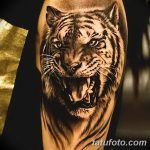фото татуировка оскал тигра от 01.06.2018 №033 - tiger tattoo - tatufoto.com