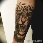 фото татуировка оскал тигра от 01.06.2018 №035 - tiger tattoo - tatufoto.com
