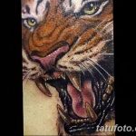 фото татуировка оскал тигра от 01.06.2018 №052 - tiger tattoo - tatufoto.com