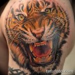 фото татуировка оскал тигра от 01.06.2018 №053 - tiger tattoo - tatufoto.com