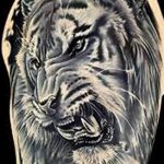 фото татуировка оскал тигра от 01.06.2018 №054 - tiger tattoo - tatufoto.com
