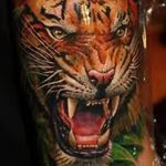 фото татуировка оскал тигра от 01.06.2018 №055 - tiger tattoo - tatufoto.com