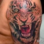 фото татуировка оскал тигра от 01.06.2018 №059 - tiger tattoo - tatufoto.com