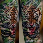 фото татуировка оскал тигра от 01.06.2018 №063 - tiger tattoo - tatufoto.com