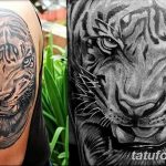 фото татуировка оскал тигра от 01.06.2018 №064 - tiger tattoo - tatufoto.com
