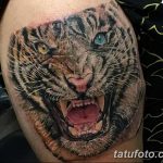 фото татуировка оскал тигра от 01.06.2018 №071 - tiger tattoo - tatufoto.com