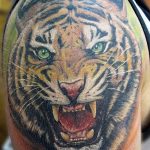 фото татуировка оскал тигра от 01.06.2018 №073 - tiger tattoo - tatufoto.com