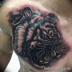фото татуировка оскал тигра от 01.06.2018 №075 - tiger tattoo - tatufoto.com