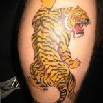 фото татуировка оскал тигра от 01.06.2018 №079 - tiger tattoo - tatufoto.com