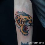 фото татуировка оскал тигра от 01.06.2018 №085 - tiger tattoo - tatufoto.com