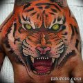 фото татуировка оскал тигра от 01.06.2018 №087 - tiger tattoo - tatufoto.com