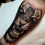 фото татуировка оскал тигра от 01.06.2018 №098 - tiger tattoo - tatufoto.com