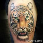 фото татуировка оскал тигра от 01.06.2018 №103 - tiger tattoo - tatufoto.com