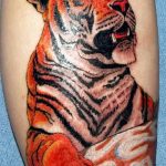 фото татуировка оскал тигра от 01.06.2018 №109 - tiger tattoo - tatufoto.com