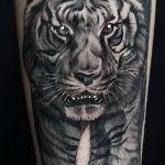 фото татуировка оскал тигра от 01.06.2018 №111 - tiger tattoo - tatufoto.com