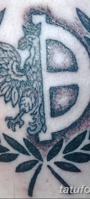 Фото тату Скинхедов от 31.07.2018 №070 — tattoo of skinheads — tatufoto.com