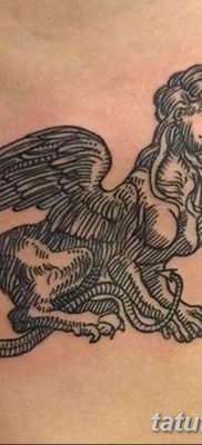 Фото тату мантикора от 31.07.2018 №007 — tattoo manticore — tatufoto.com