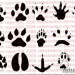 Эскизы тату кошачьи следы от 31.07.2018 №013 - Sketches tattoo cat tracks - tatufoto.com